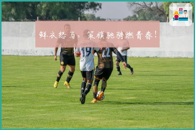 鲜衣怒马，策旗驰骋燃青春！