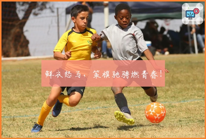 鲜衣怒马，策旗驰骋燃青春！